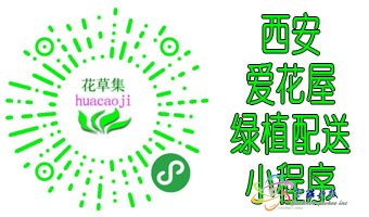西安爱花屋绿植微信小程序